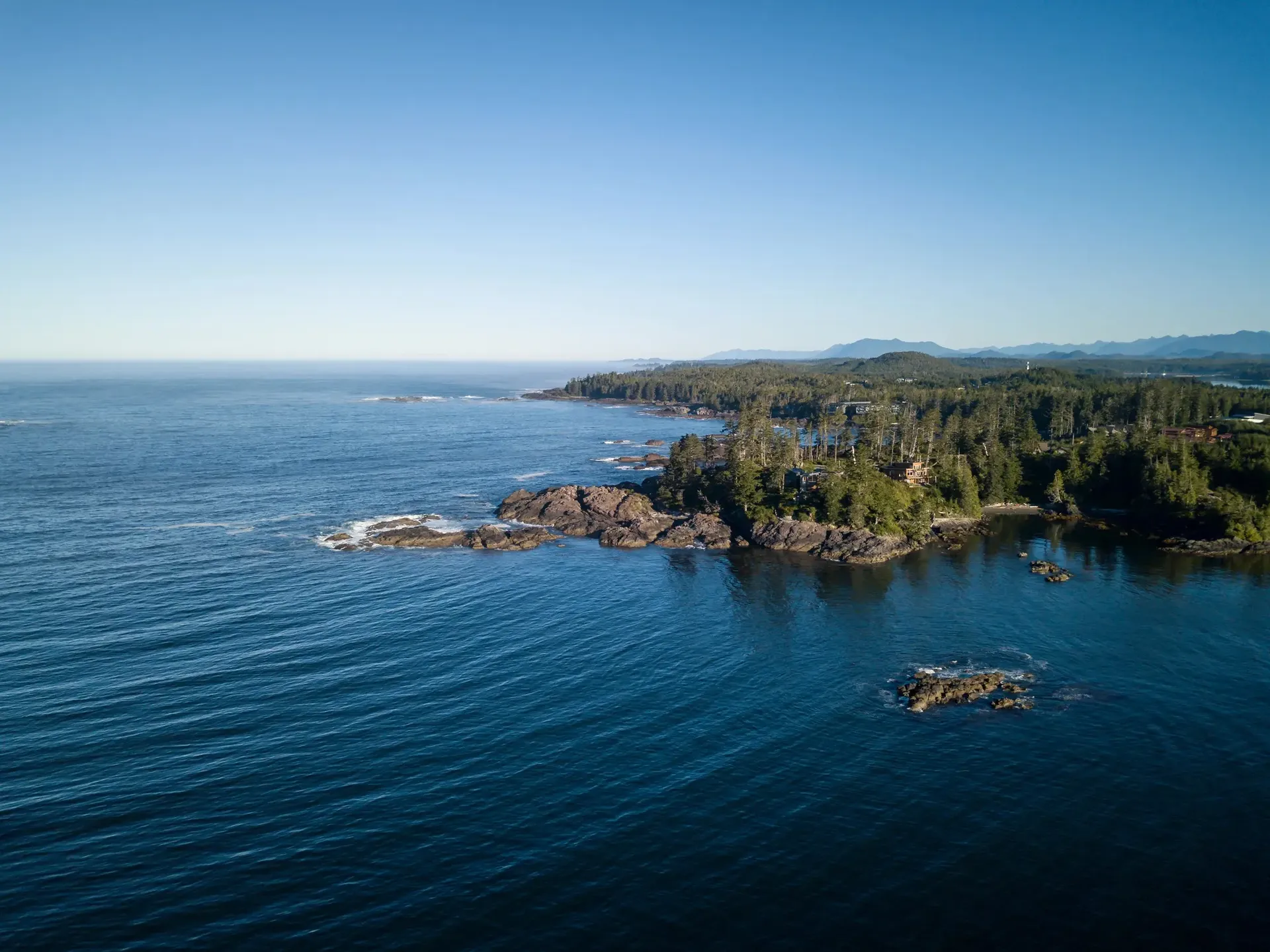 An aerial view of a rugged, forested coastline meeting the deep blue ocean